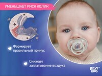 ПУСТЫШКА СИЛИКОНОВАЯ SCANDI ОТ ROXY-KIDS, 2 ШТ, В КОНТЕЙНЕРЕ, 6-18 МЕС